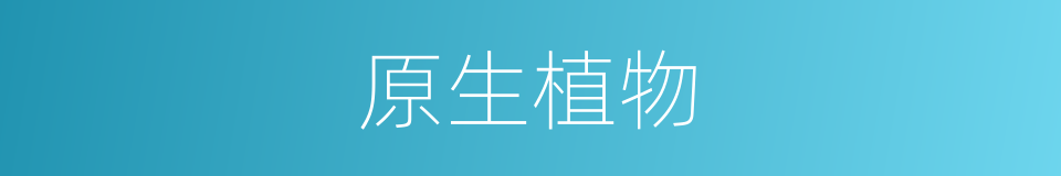 原生植物的同义词