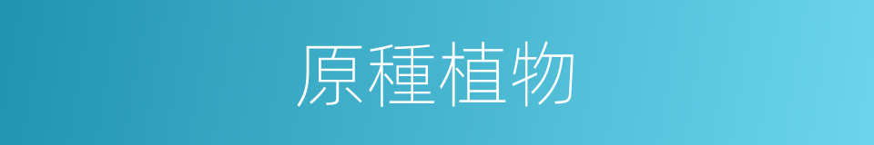 原種植物的同義詞