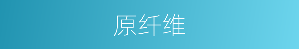原纤维的同义词