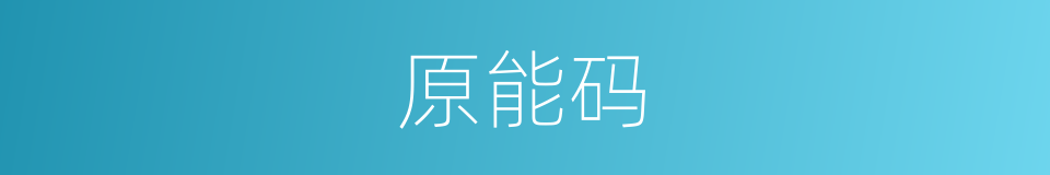 原能码的意思
