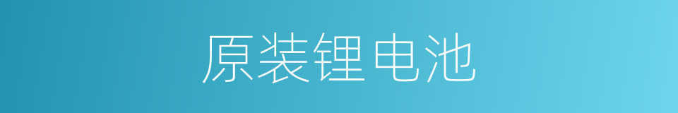 原装锂电池的同义词