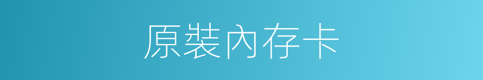 原裝內存卡的同義詞
