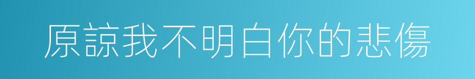 原諒我不明白你的悲傷的同義詞