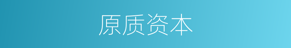 原质资本的同义词