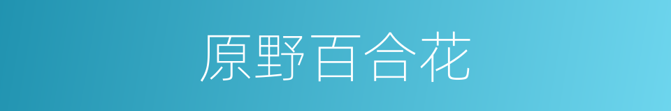 原野百合花的同义词