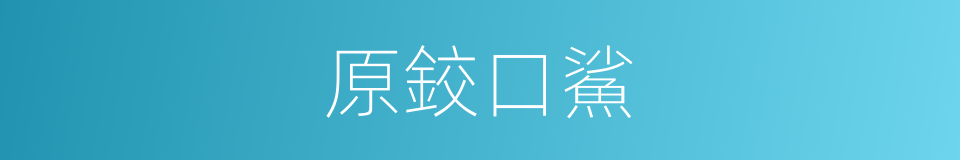 原鉸口鯊的同義詞
