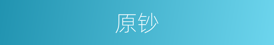 原钞的同义词