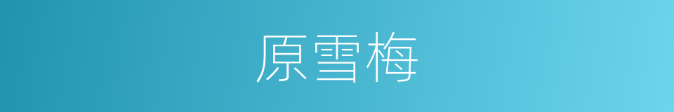 原雪梅的同义词