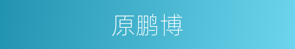 原鹏博的同义词