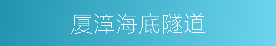 厦漳海底隧道的同义词