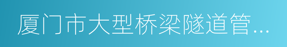 厦门市大型桥梁隧道管理办法的同义词