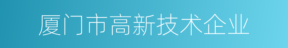 厦门市高新技术企业的同义词