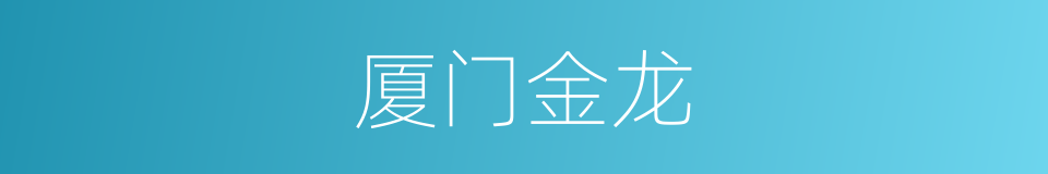 厦门金龙的同义词