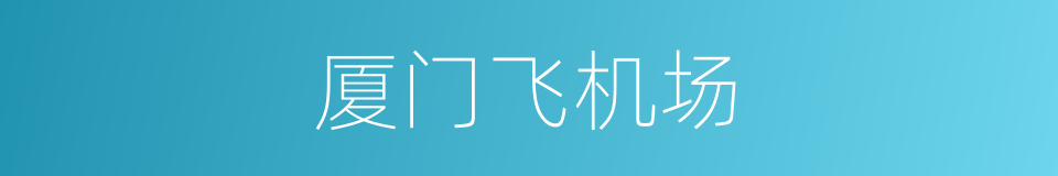 厦门飞机场的同义词