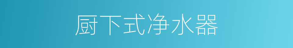 厨下式净水器的同义词