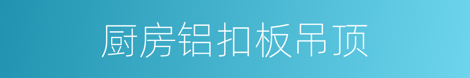 厨房铝扣板吊顶的同义词