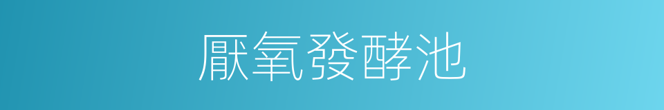 厭氧發酵池的同義詞