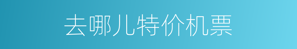 去哪儿特价机票的同义词
