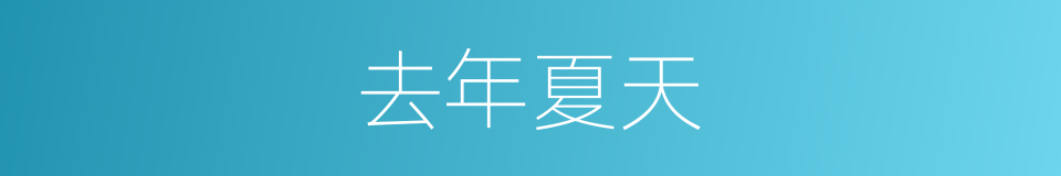 去年夏天的同义词