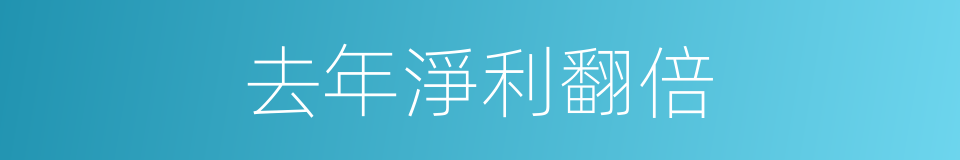 去年淨利翻倍的同義詞
