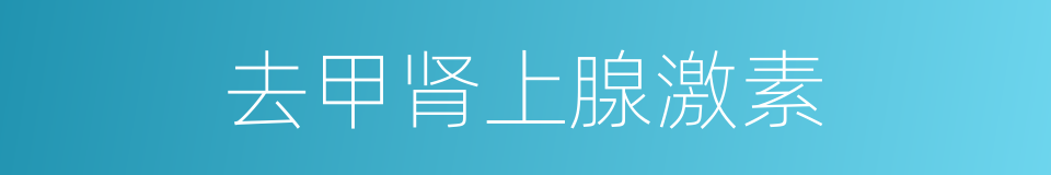 去甲肾上腺激素的同义词