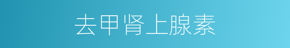 去甲肾上腺素的同义词