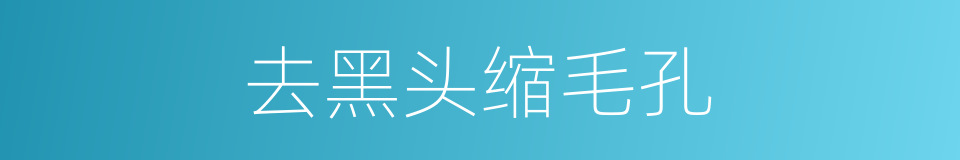 去黑头缩毛孔的同义词