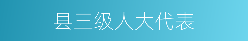 县三级人大代表的同义词