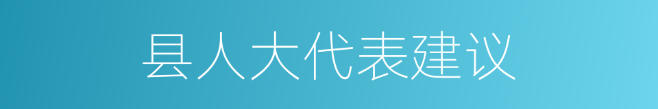 县人大代表建议的同义词