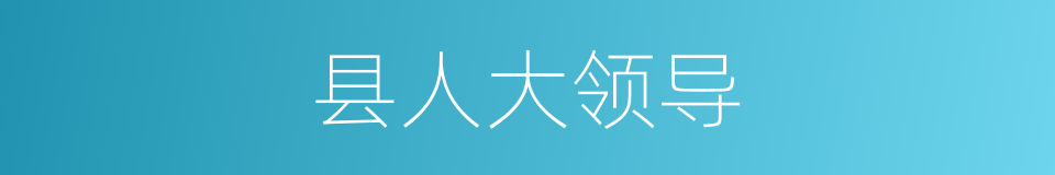 县人大领导的同义词