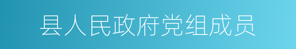 县人民政府党组成员的同义词