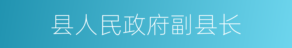 县人民政府副县长的同义词
