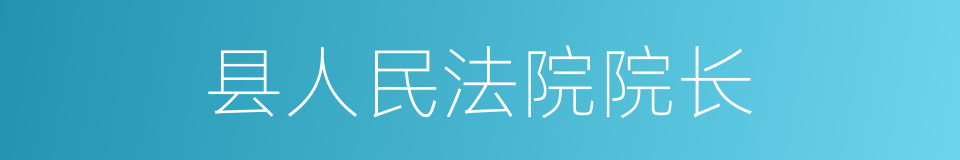 县人民法院院长的同义词