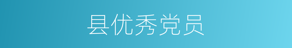 县优秀党员的同义词