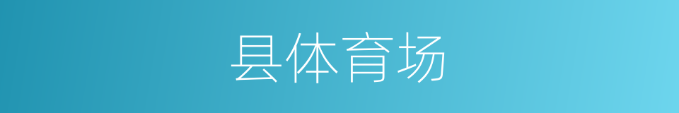 县体育场的同义词