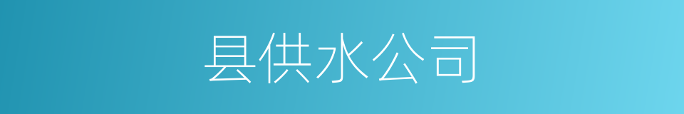 县供水公司的同义词