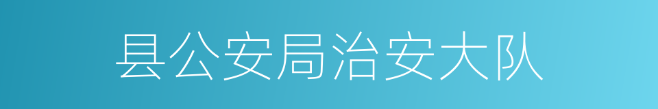 县公安局治安大队的同义词