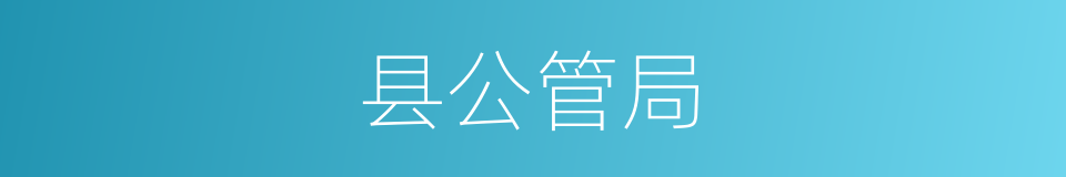 县公管局的同义词