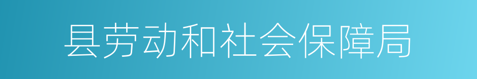 县劳动和社会保障局的同义词