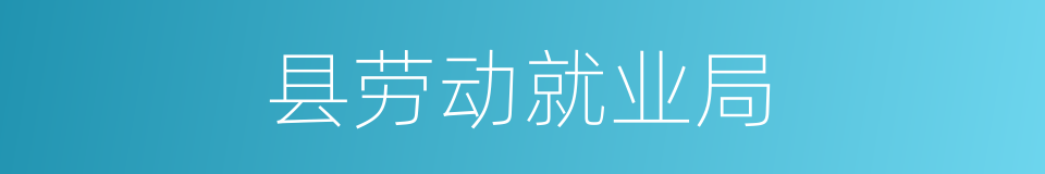 县劳动就业局的同义词