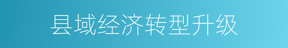 县域经济转型升级的同义词