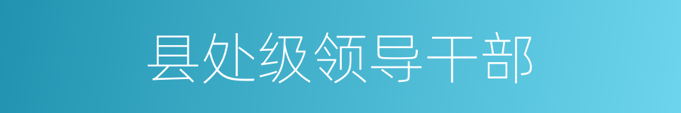 县处级领导干部的同义词