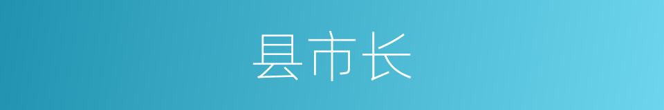 县市长的同义词