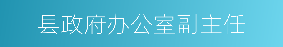 县政府办公室副主任的同义词