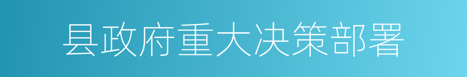 县政府重大决策部署的同义词