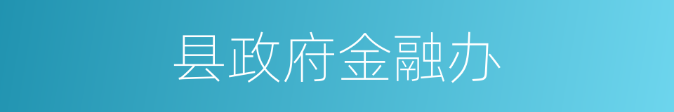 县政府金融办的同义词