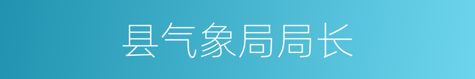 县气象局局长的同义词