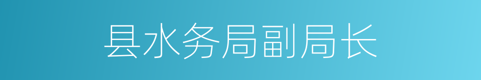 县水务局副局长的同义词