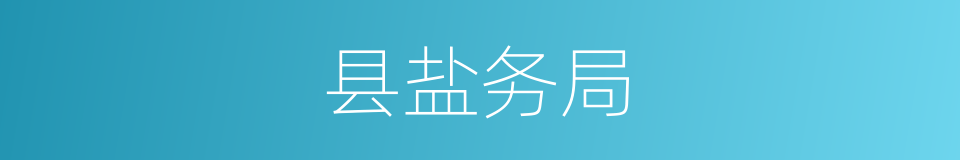 县盐务局的同义词