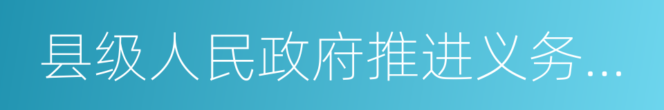 县级人民政府推进义务教育均衡发展工作情况的同义词